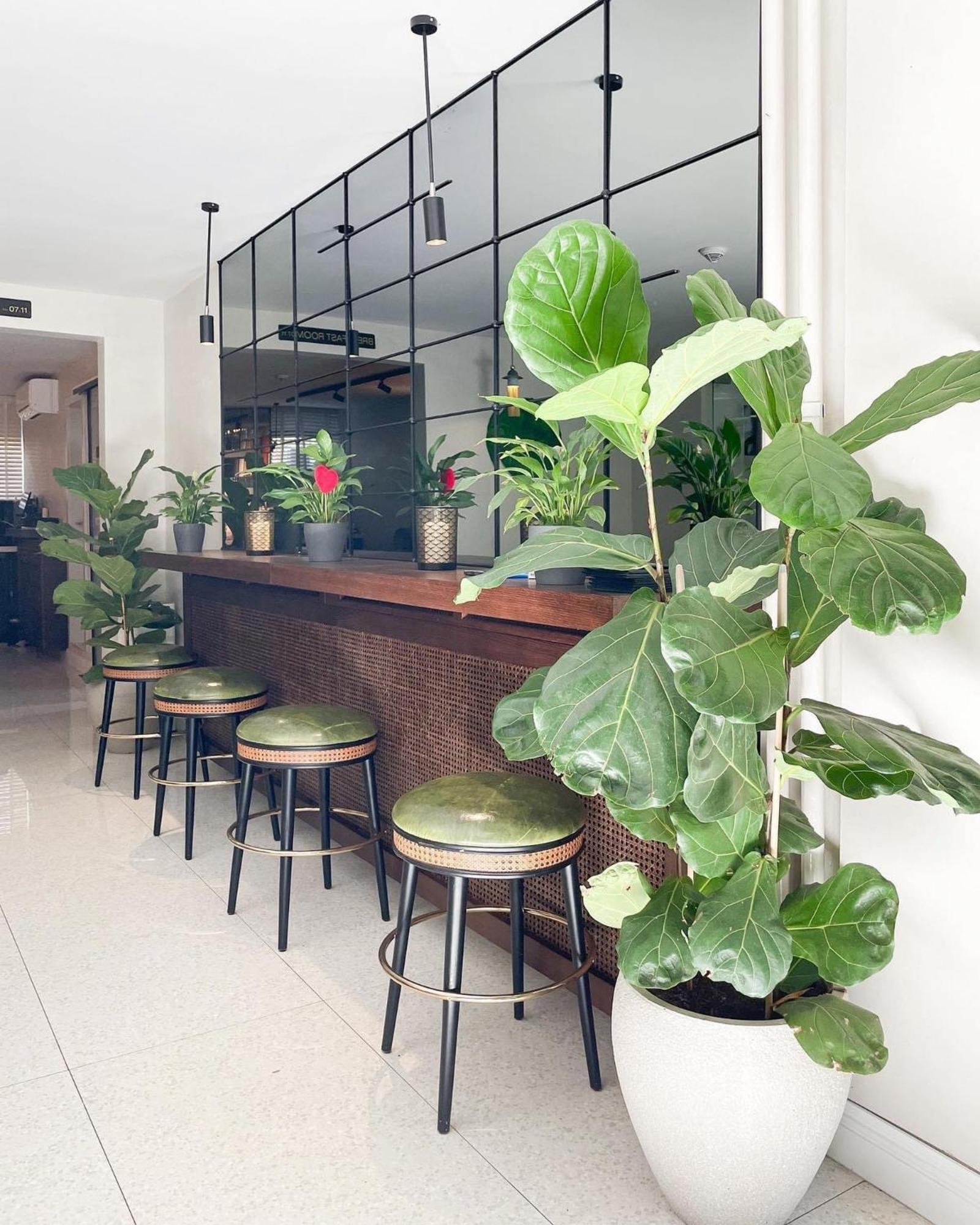 Hotel Botanica Beograd Ngoại thất bức ảnh